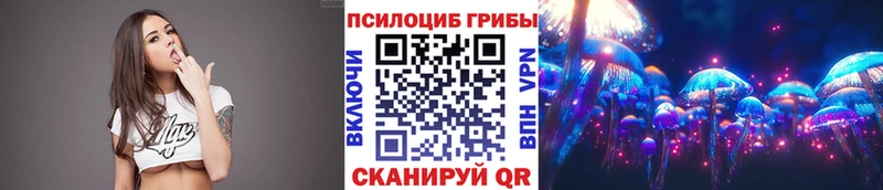 Купить где  Ногинск  Псилоцибиновые грибы Magic Shrooms